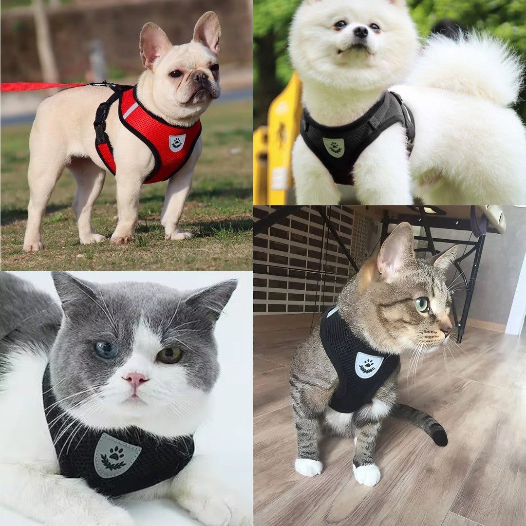 Arnés Pechera Chaleco Para Perro Y Gato