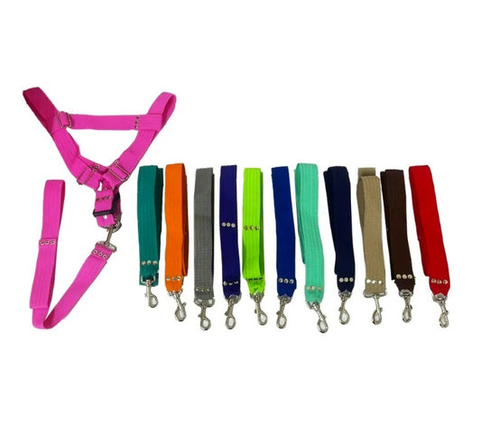 Arnés para Razas Medianas y Grandes – 5 Canales