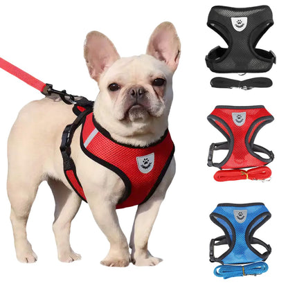 Arnés Pechera Chaleco Para Perro Y Gato