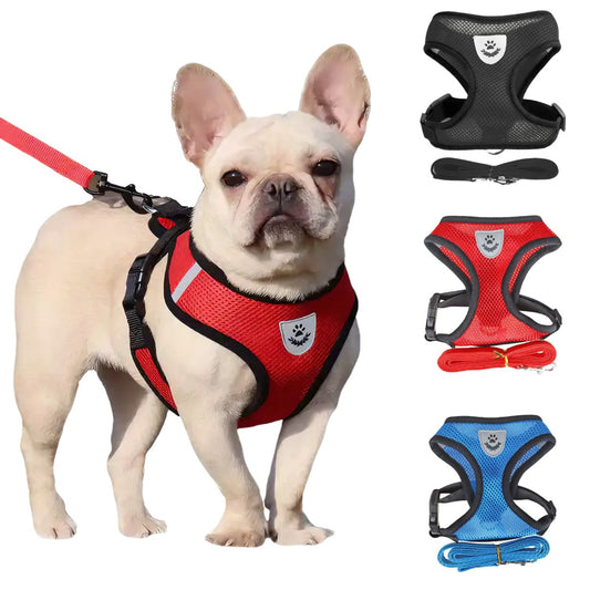 Arnés Pechera Chaleco Para Perro Y Gato
