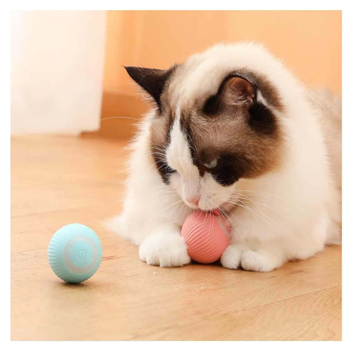 Pelota Interactiva Inteligente para Gato y Perro