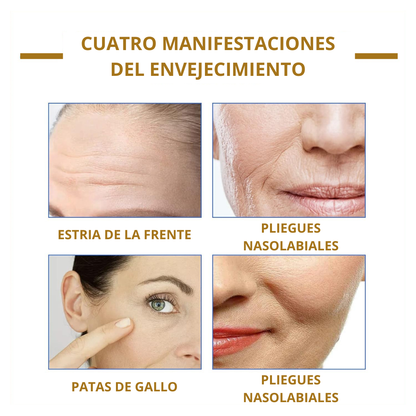 Combo Bee Venom Bswell + Botox Stock Solution